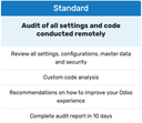 Odoo Audit - Standard