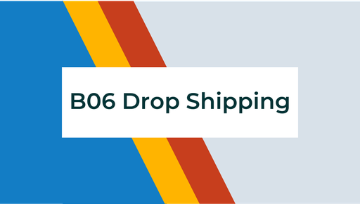 B06 - SBP - Drop Shipping